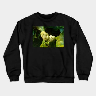 Noni Fruit on a Tree Crewneck Sweatshirt